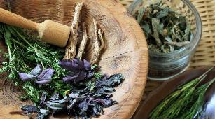 katutubong remedyong para sa prostatitis