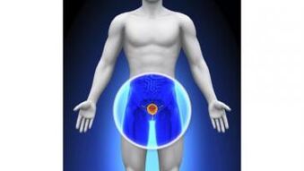 prostatitis sa isang lalaki