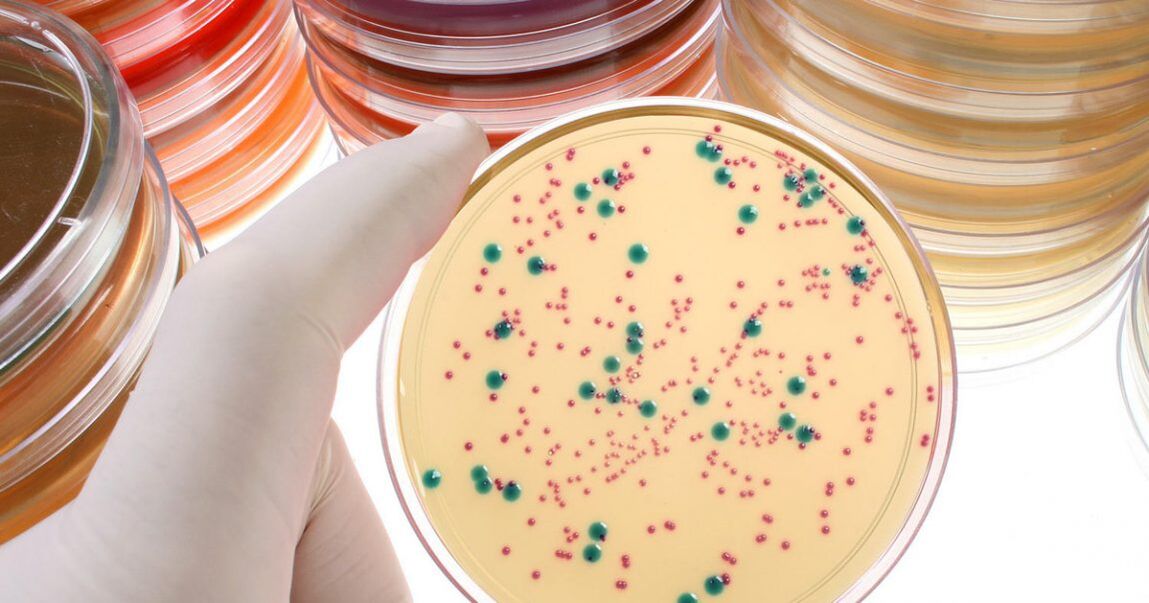 Ang bacterial chronic prostatitis ay natutukoy sa pamamagitan ng pagsusuri sa ihi at mga pagtatago ng prostate